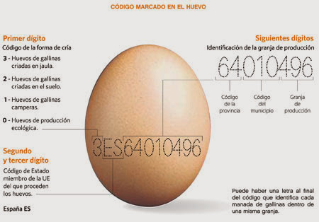 Cómo saber si los huevos que compras son de calidad